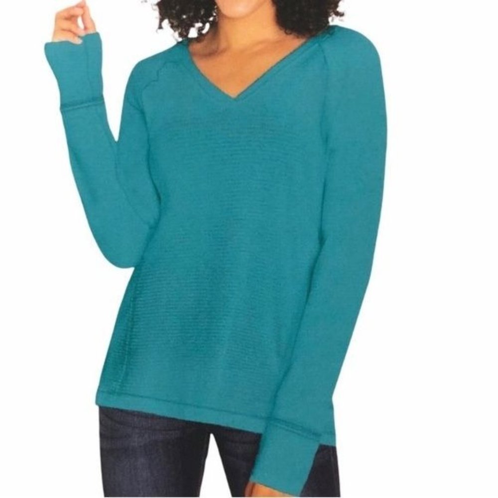 Wildfox V Neck Long Sleeve Teal Haley Brushed Top